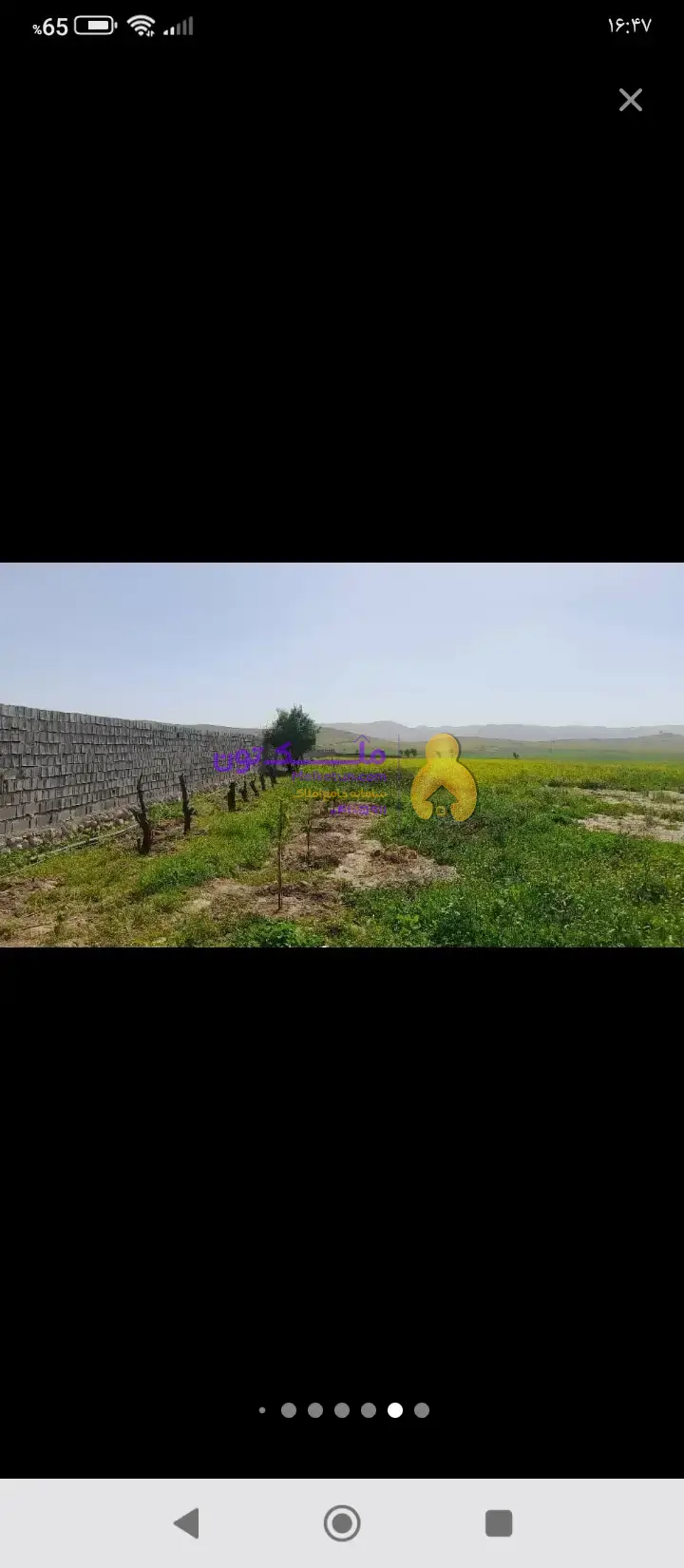 زمین کشاورزی