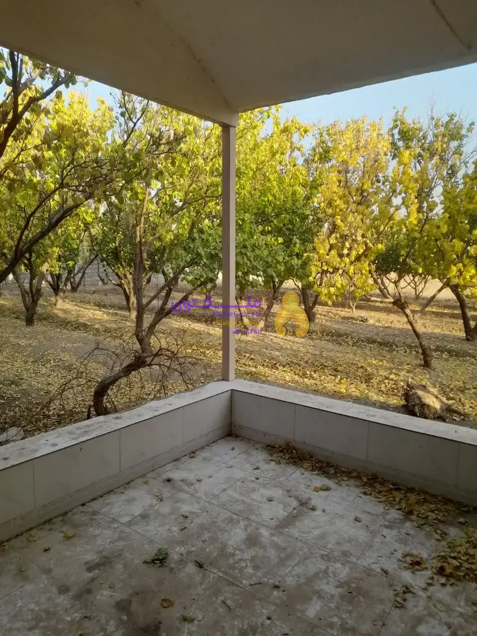 «فروش شدیداً فوری! پاداش ۱۰۰ میلیون برای یابنده مشتری / زمین کشاورزی ۳۵۰۰ متری - آب چاه و لوله‌کشی- برق»