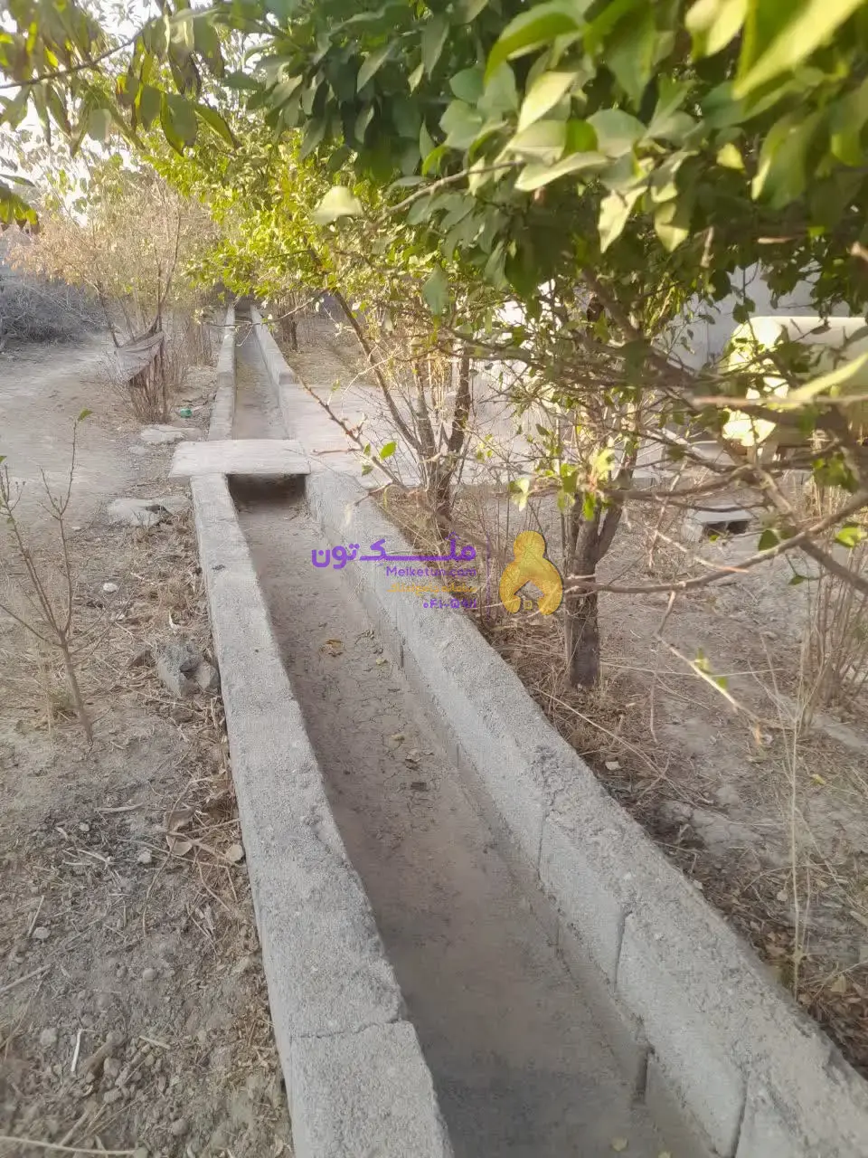 «فروش شدیداً فوری! پاداش ۱۰۰ میلیون برای یابنده مشتری / زمین کشاورزی ۳۵۰۰ متری - آب چاه و لوله‌کشی- برق»