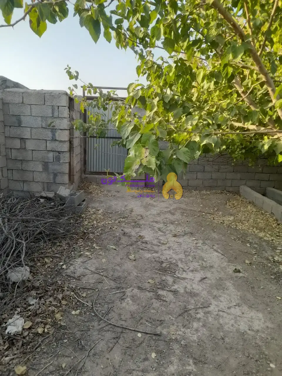 «فروش شدیداً فوری! پاداش ۱۰۰ میلیون برای یابنده مشتری / زمین کشاورزی ۳۵۰۰ متری - آب چاه و لوله‌کشی- برق»