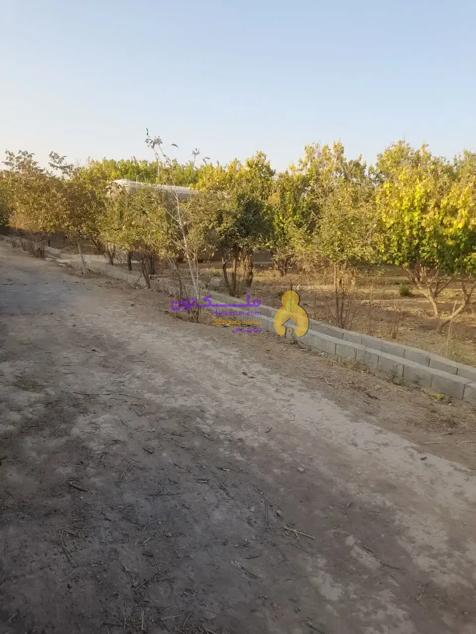 «فروش شدیداً فوری! پاداش ۱۰۰ میلیون برای یابنده مشتری / زمین کشاورزی ۳۵۰۰ متری - آب چاه و لوله‌کشی- برق»