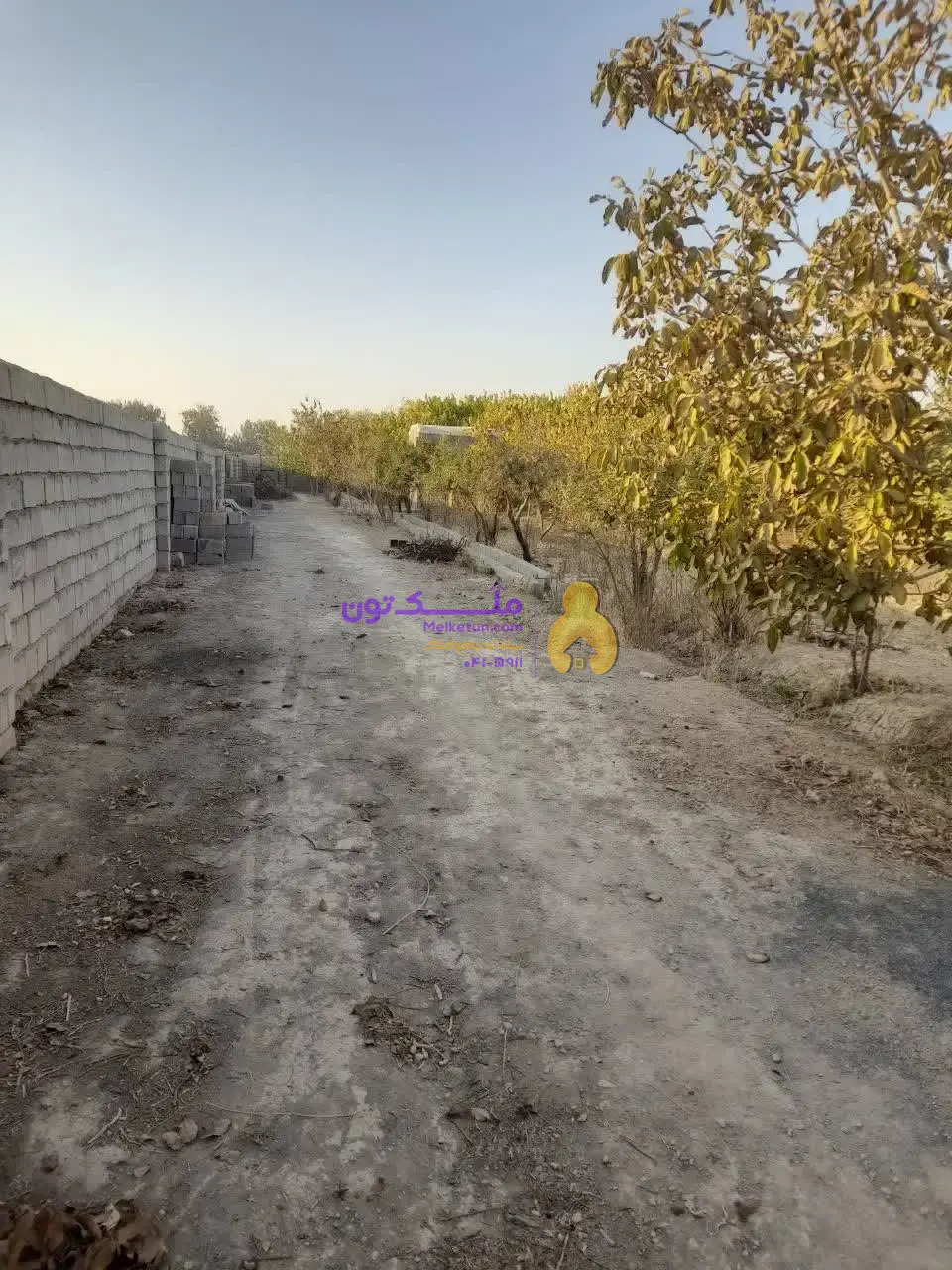 «فروش شدیداً فوری! پاداش ۱۰۰ میلیون برای یابنده مشتری / زمین کشاورزی ۳۵۰۰ متری - آب چاه و لوله‌کشی- برق»