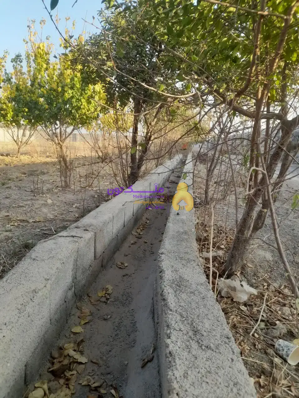 «فروش شدیداً فوری! پاداش ۱۰۰ میلیون برای یابنده مشتری / زمین کشاورزی ۳۵۰۰ متری - آب چاه و لوله‌کشی- برق»