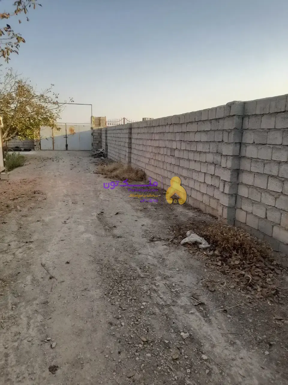 «فروش شدیداً فوری! پاداش ۱۰۰ میلیون برای یابنده مشتری / زمین کشاورزی ۳۵۰۰ متری - آب چاه و لوله‌کشی- برق»