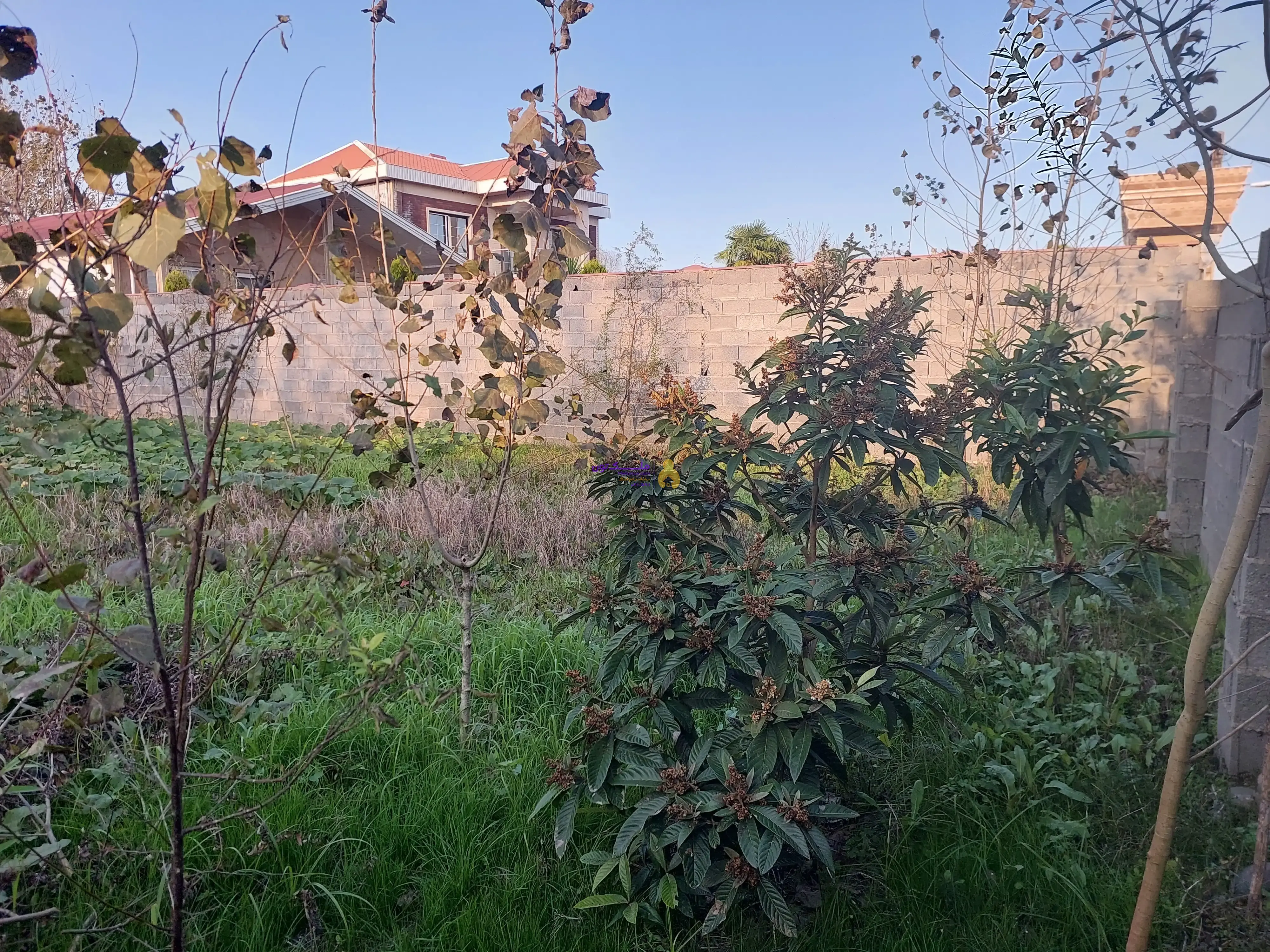 زمین مسکونی زیباکنار