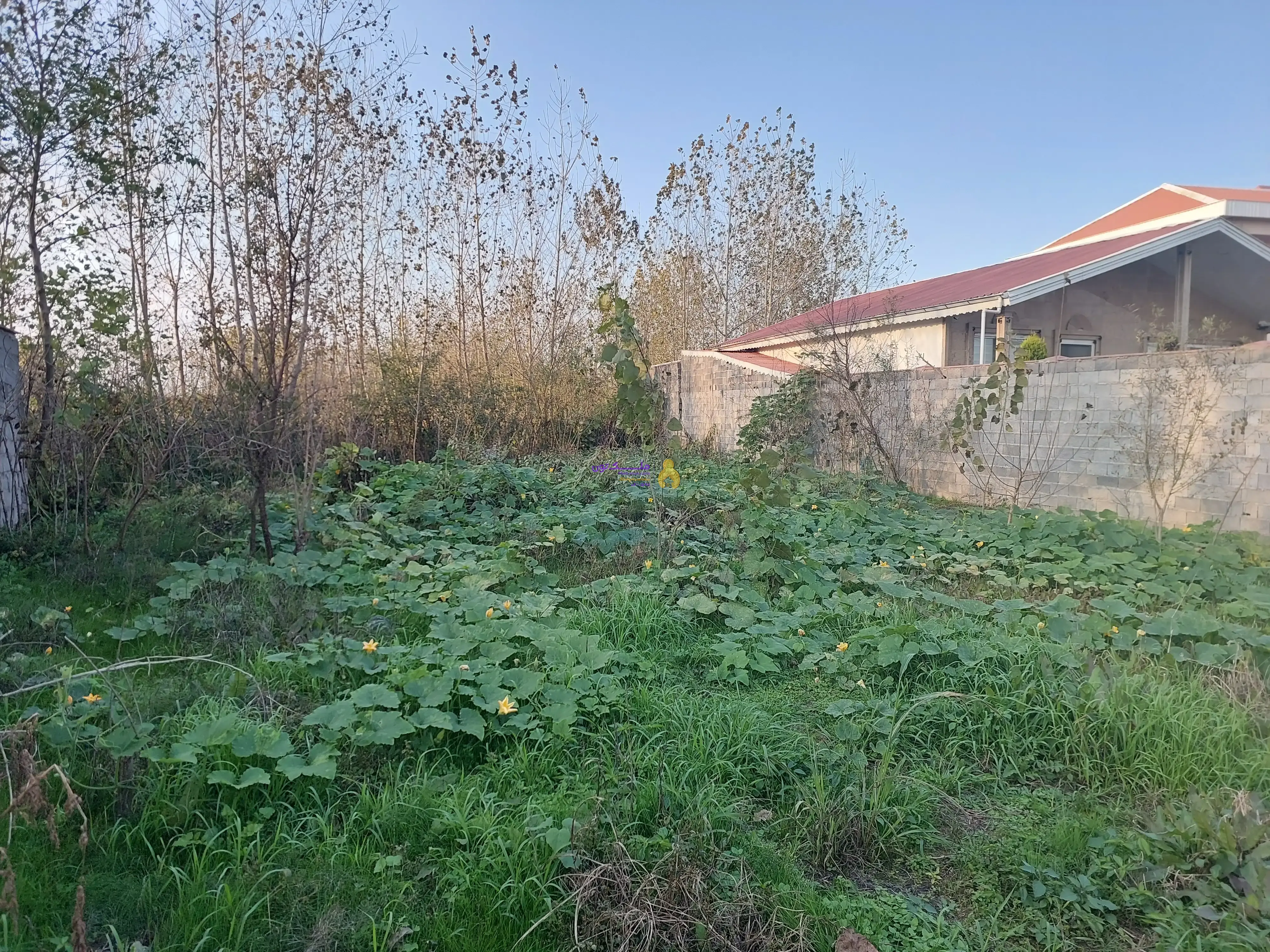 زمین مسکونی زیباکنار