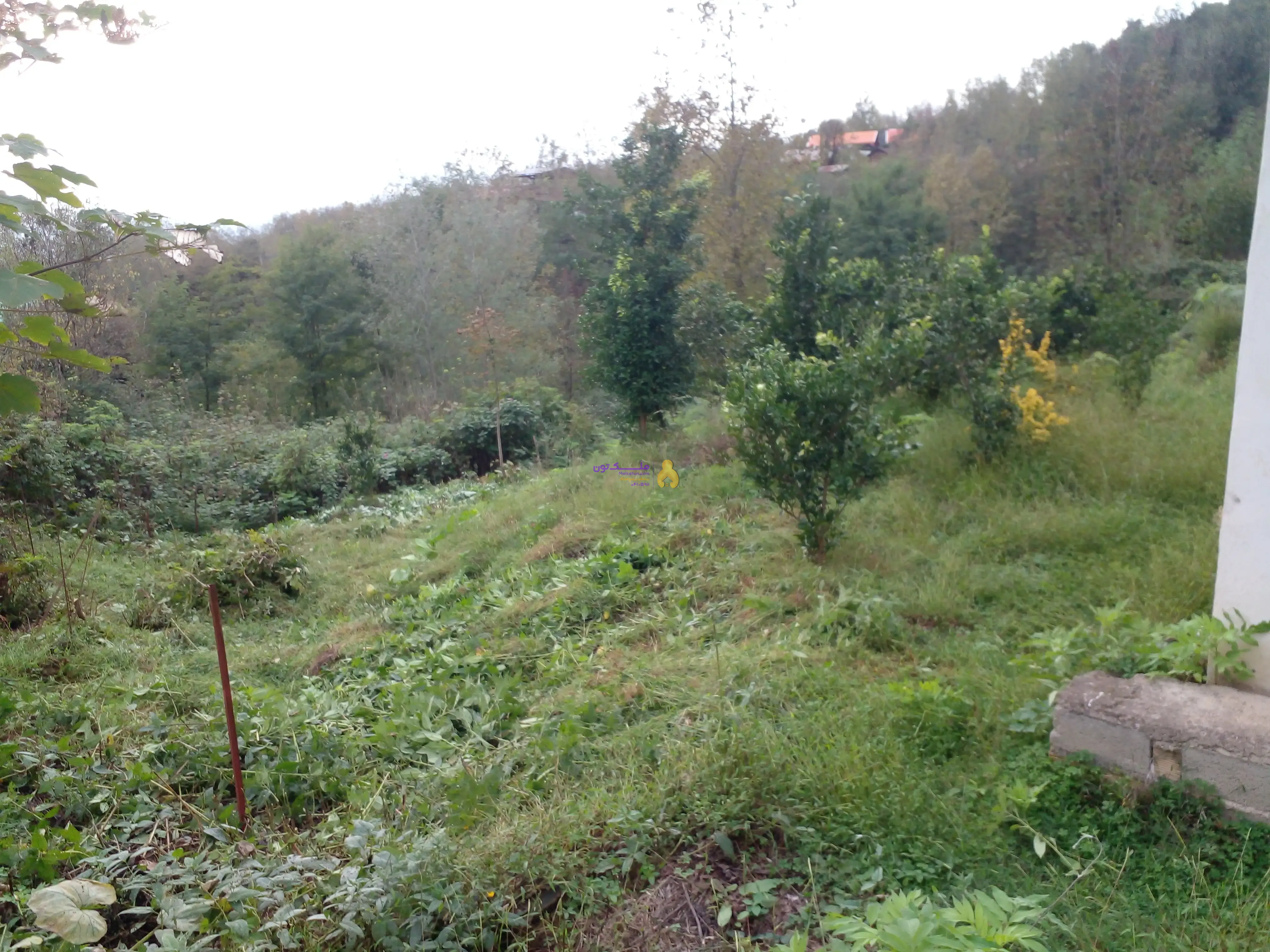 ۳۱۰مترزمین مسکونی فروش فوری