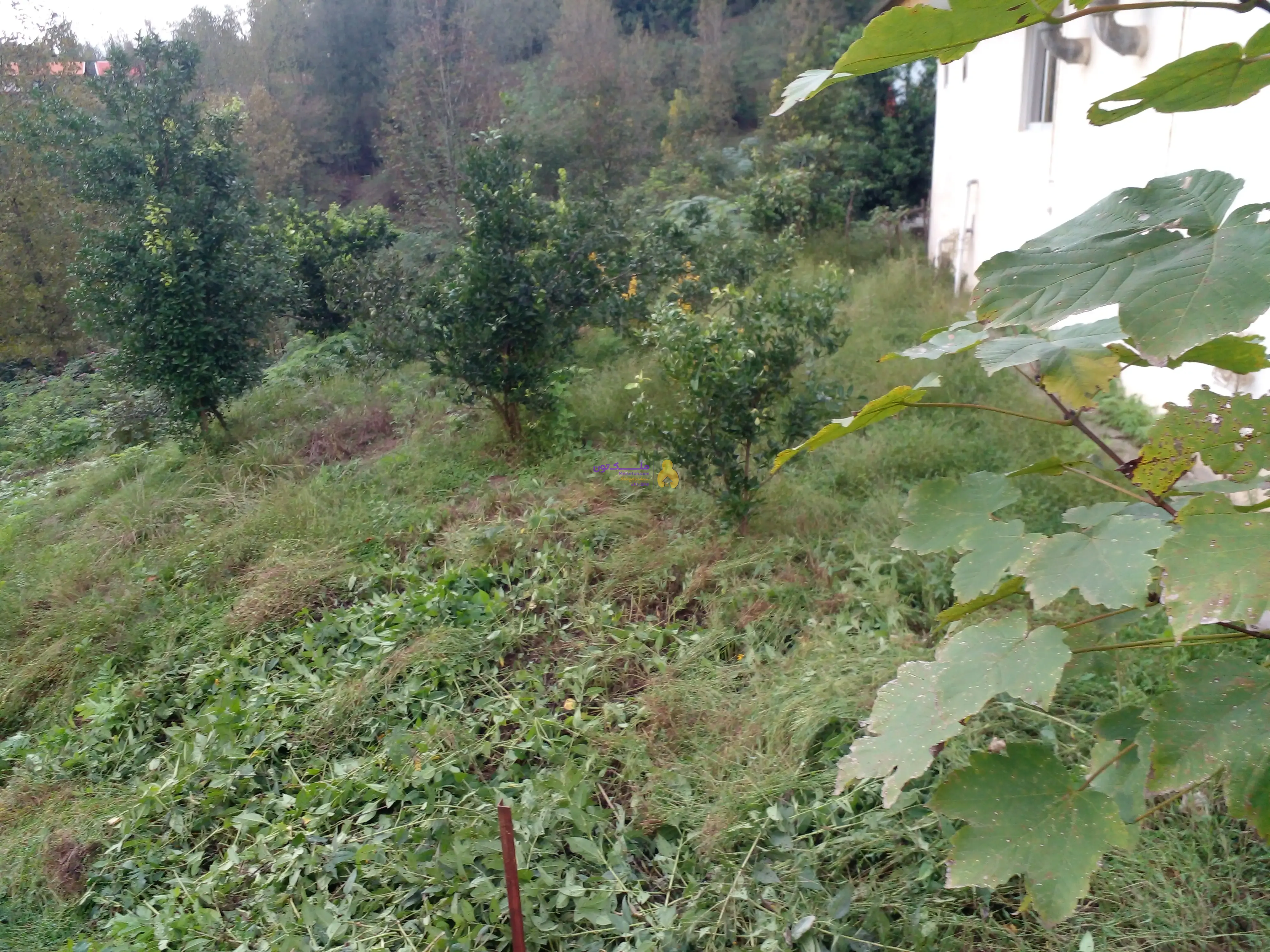 ۳۱۰مترزمین مسکونی فروش فوری