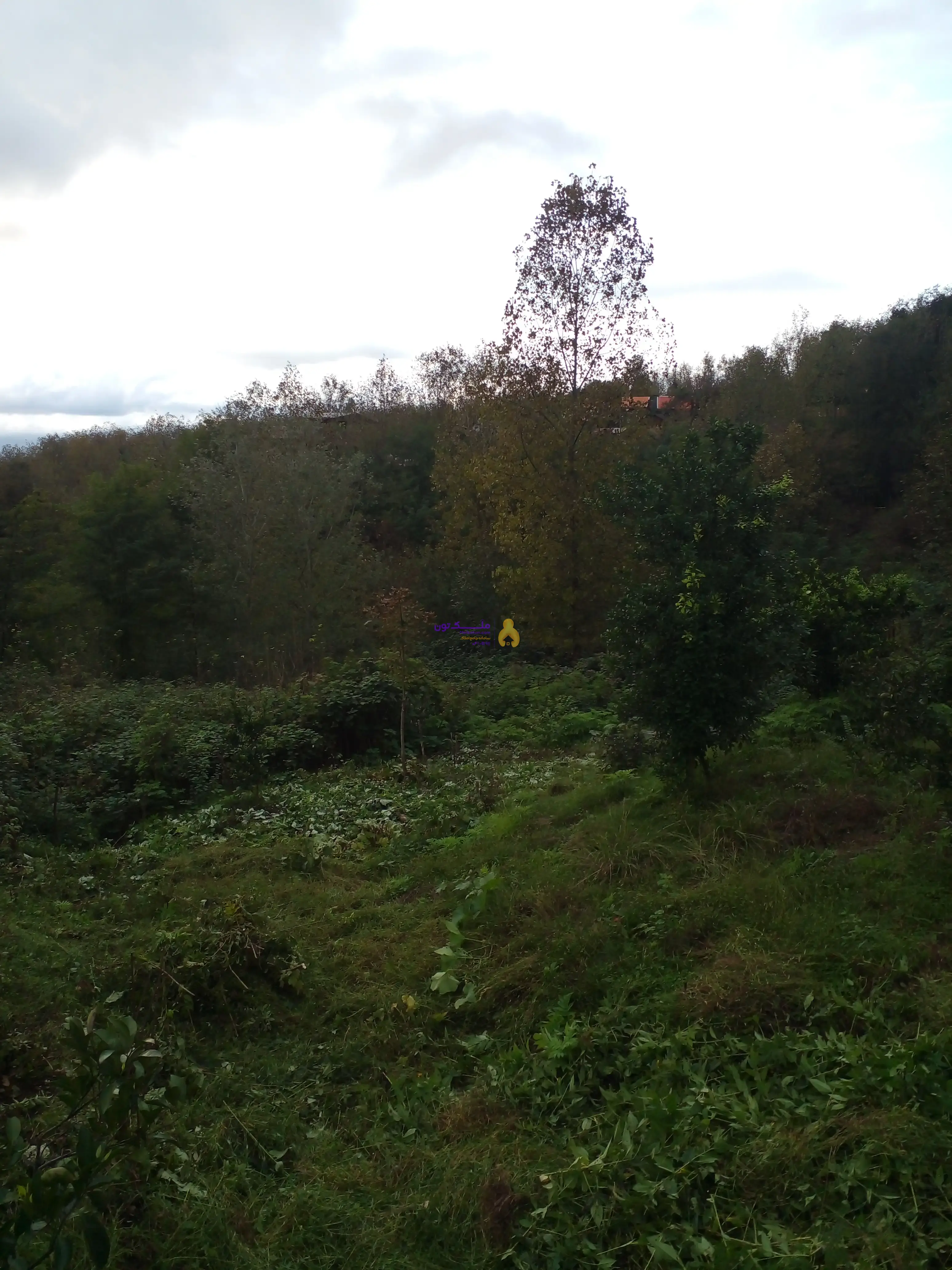 ۳۱۰مترزمین مسکونی فروش فوری