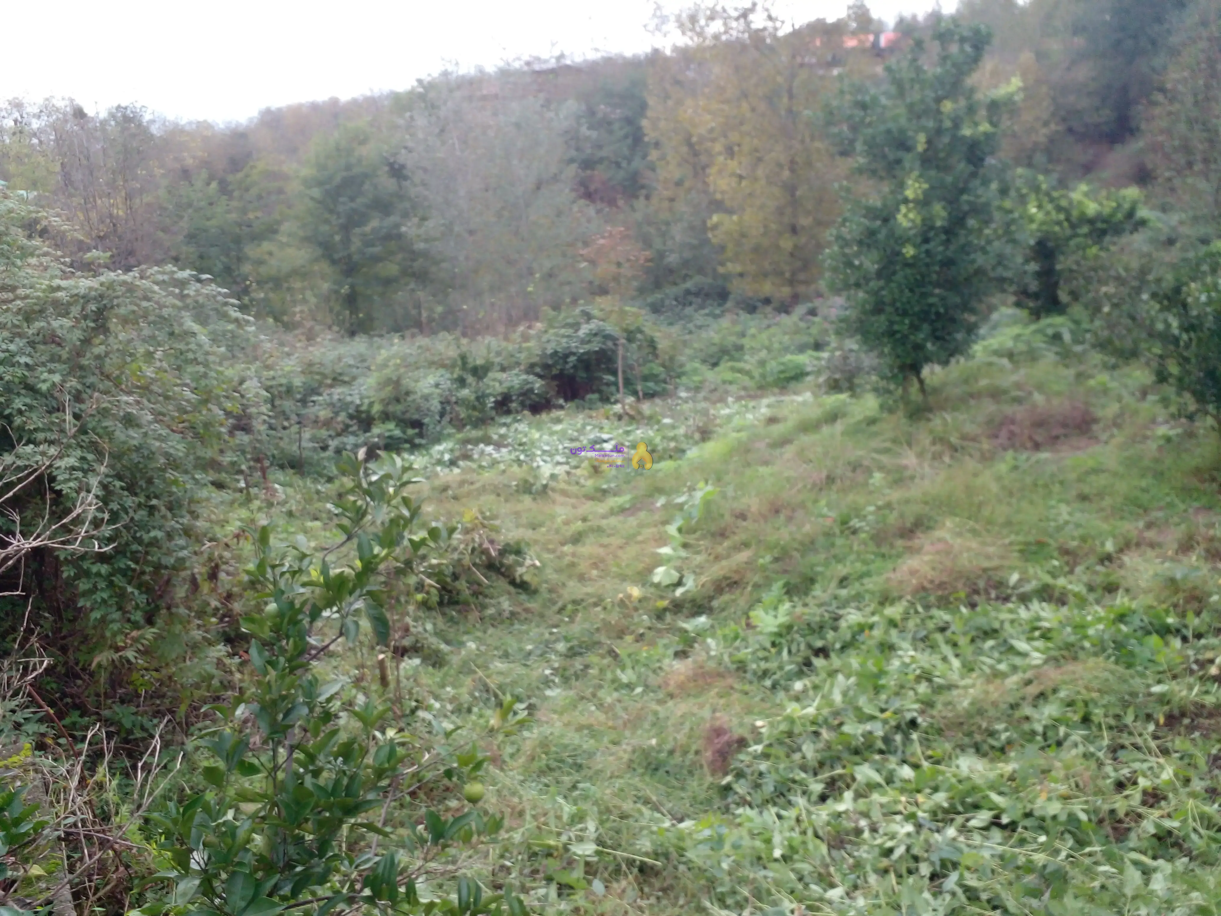 ۳۱۰مترزمین مسکونی فروش فوری