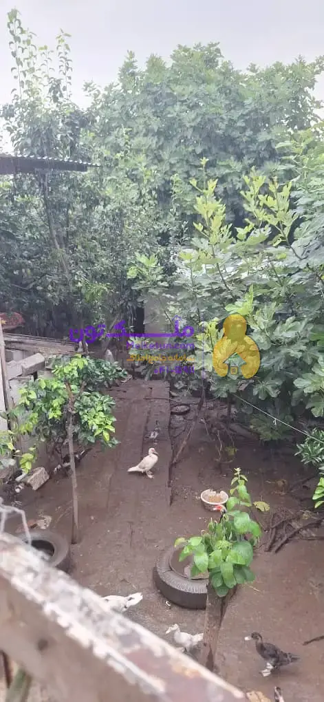 خونه باغ 40 متری در زمین 210 متری مازندران قائمشهر