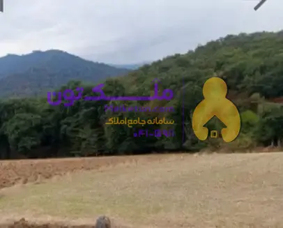 زمین، کشاورزی باغی