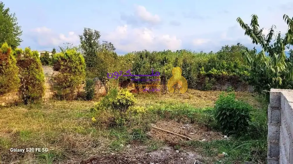 ۵۰۰ متر زمین بهترین جای لاهیجان