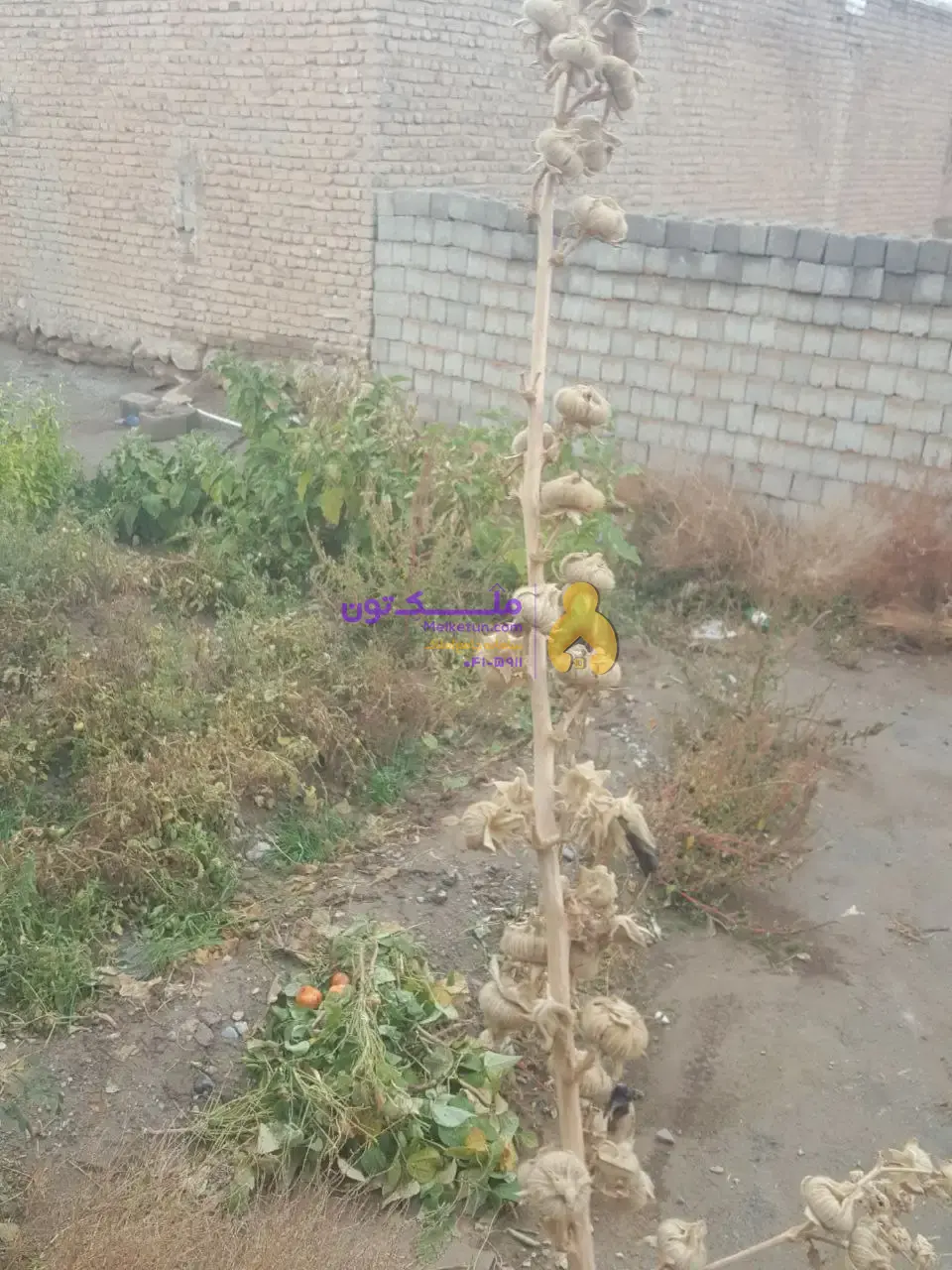 خانه روستایی ۶۵۰ متری سرین چاوه پیرانشهر