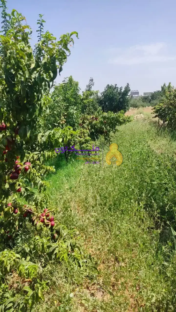 3200 متر در 25 کیلومتری نیشابور