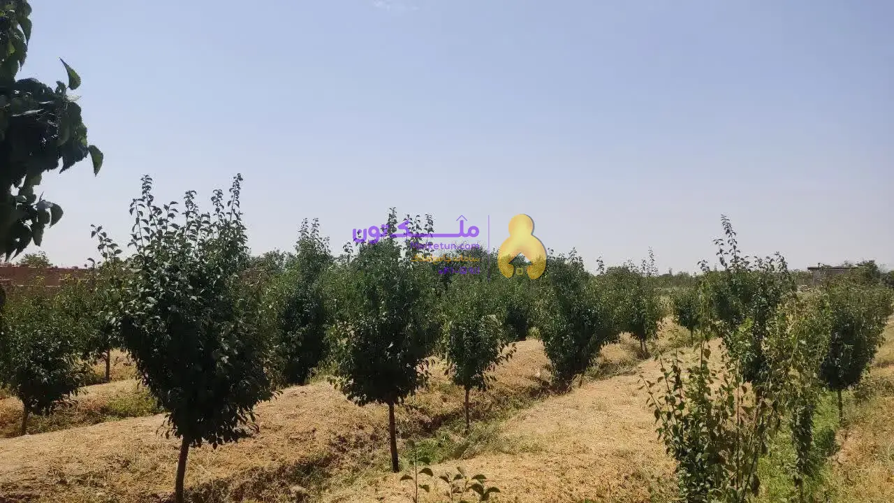 3200 متر در 25 کیلومتری نیشابور