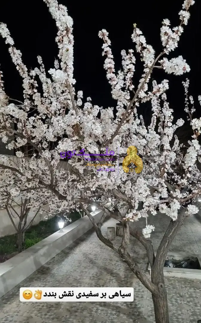 باغچه ویلایی در قزوین امامزاده اباذر