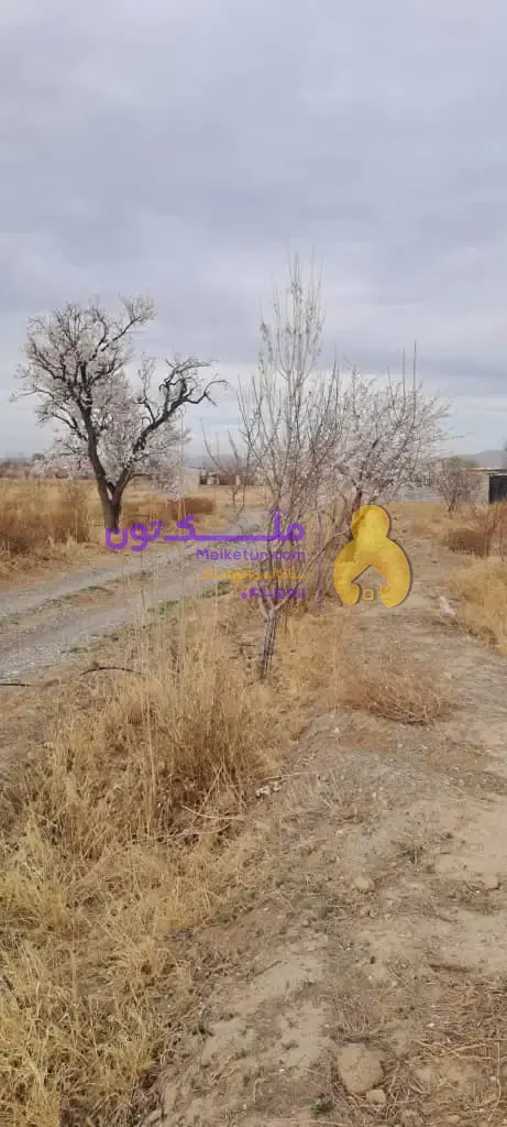 فرروش یک قطعه باغ