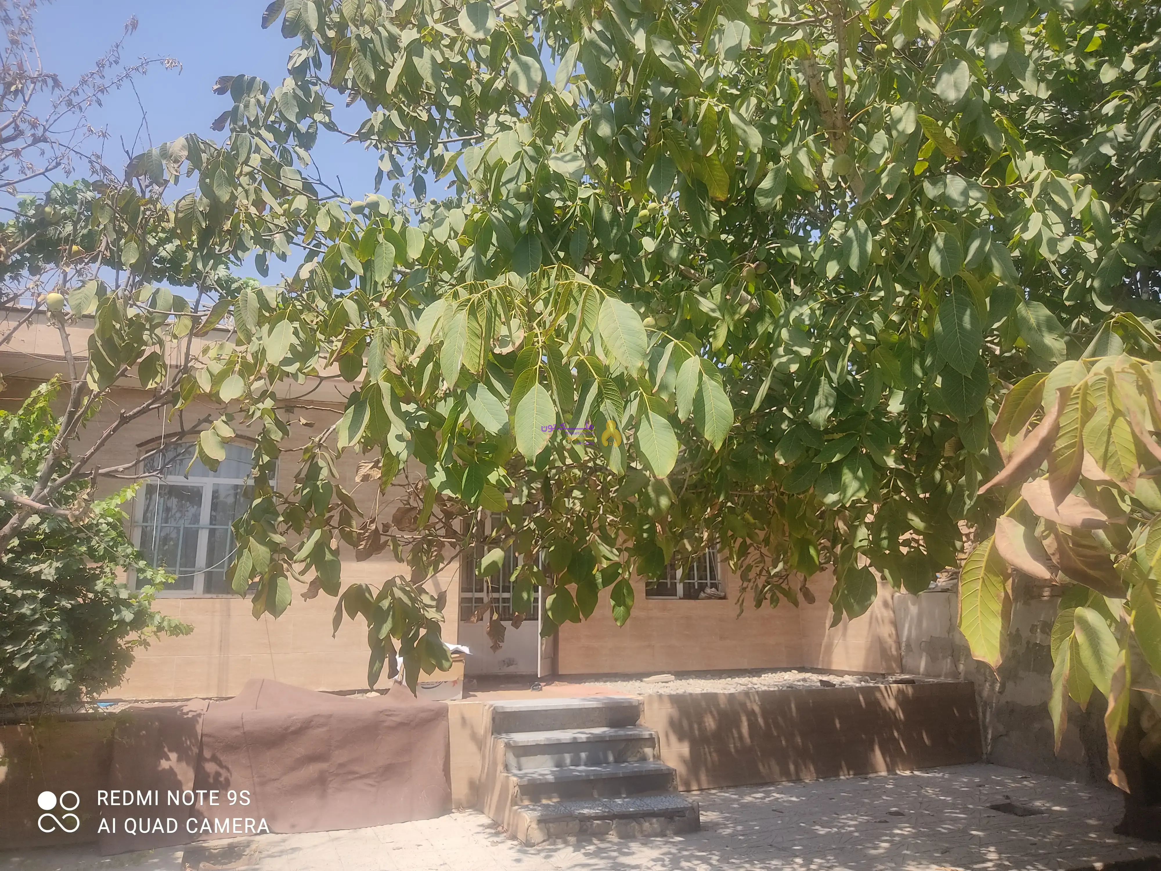 فروش فوررررری