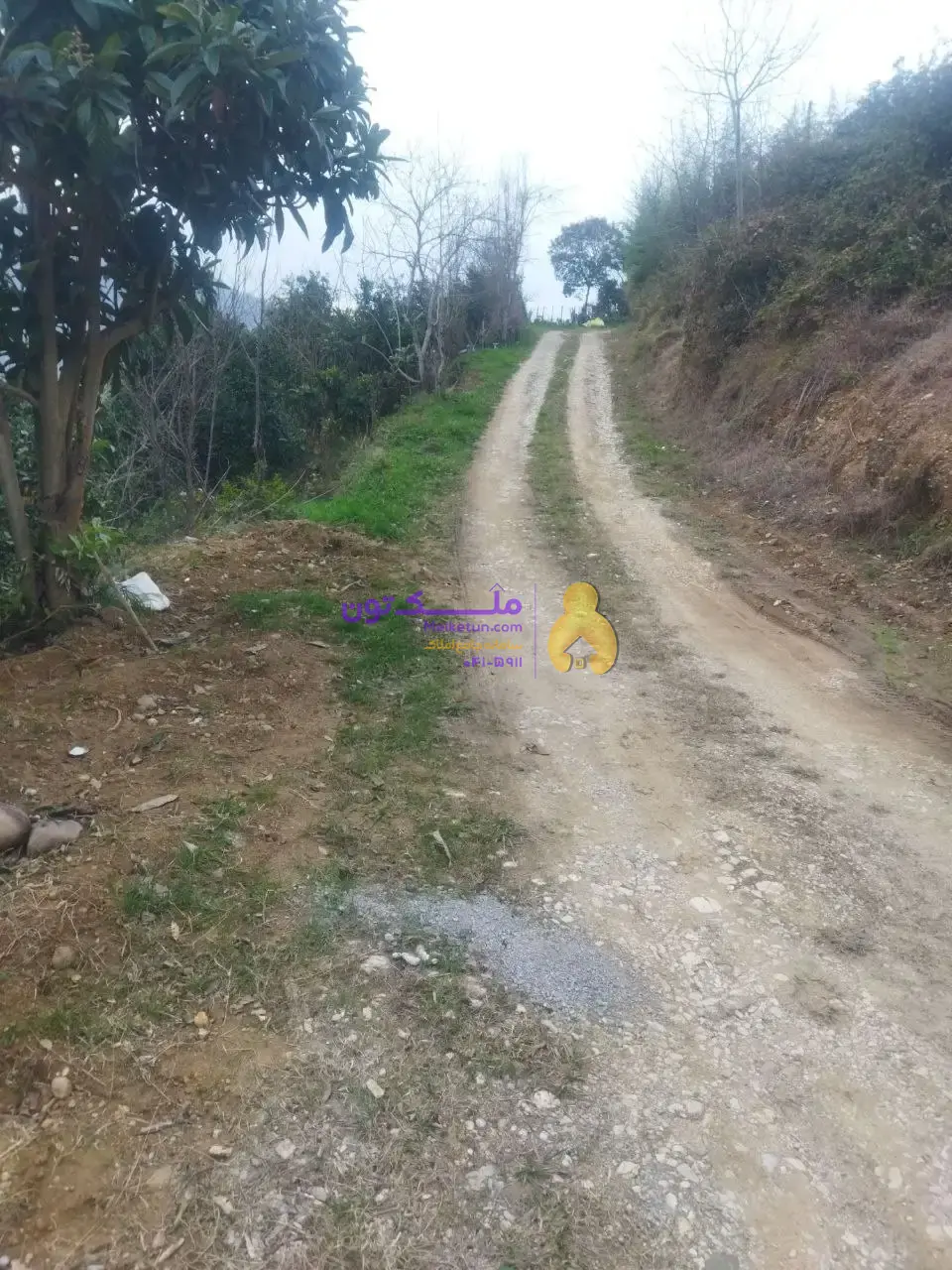 زمین ۷۰۰متر اربکله