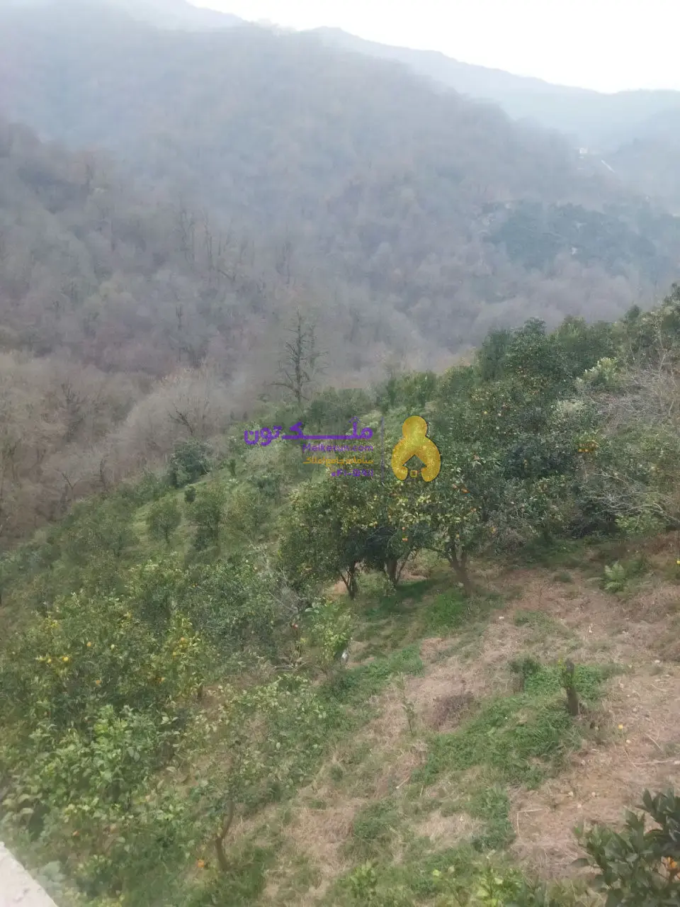 زمین ۷۰۰متر اربکله