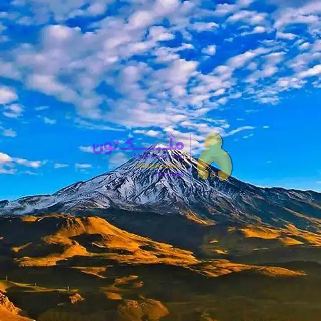 21 هکتار زمین