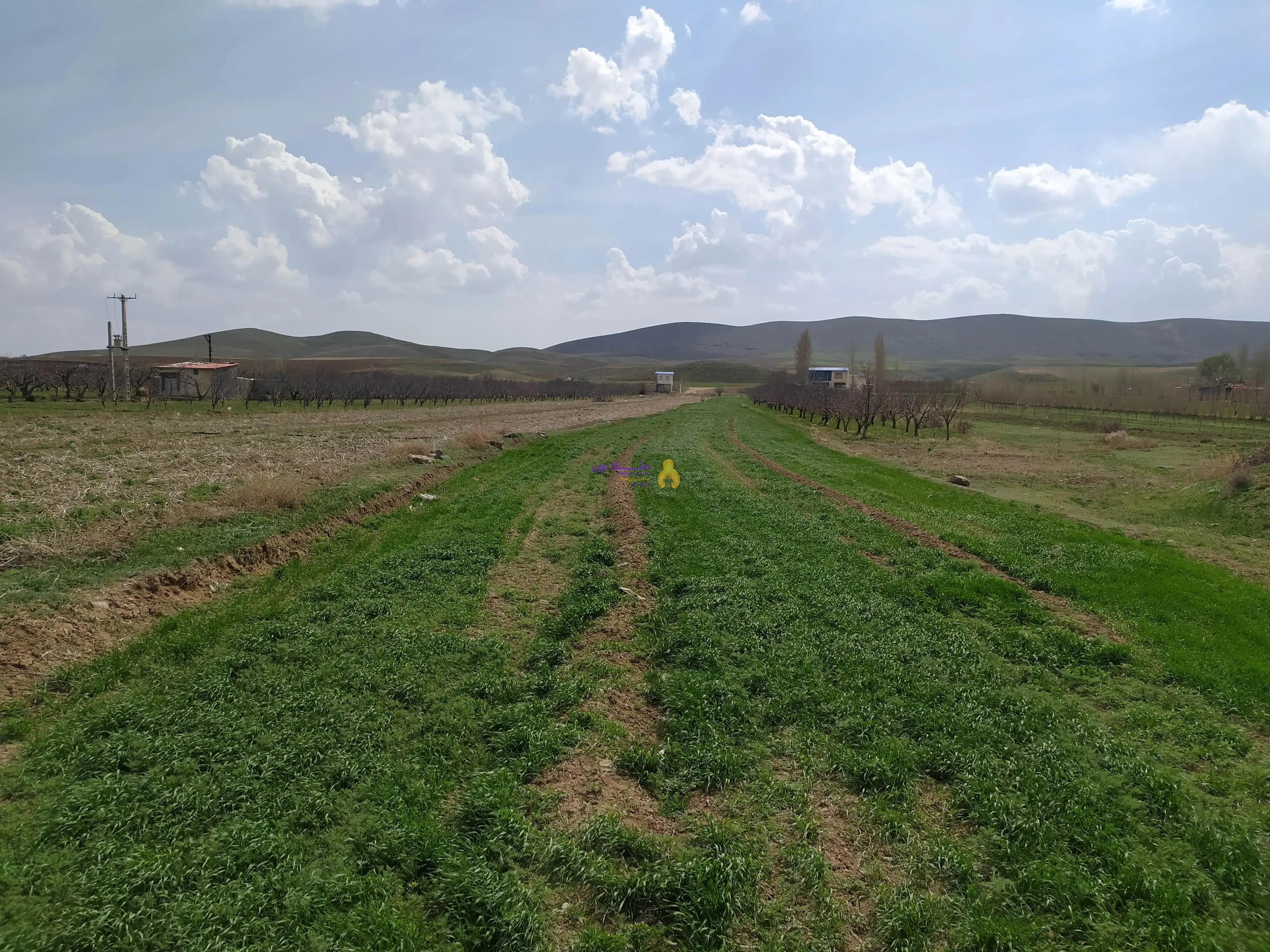 زمین کشاورزی 2100 متری روستای بناب